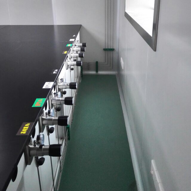 通用生物(wù)系統(安徽(hui))有限公司(si)實驗室集(jí)中供氣工(gōng)程